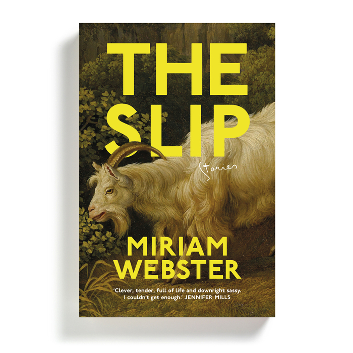 The Slip by Miriam Webster 2