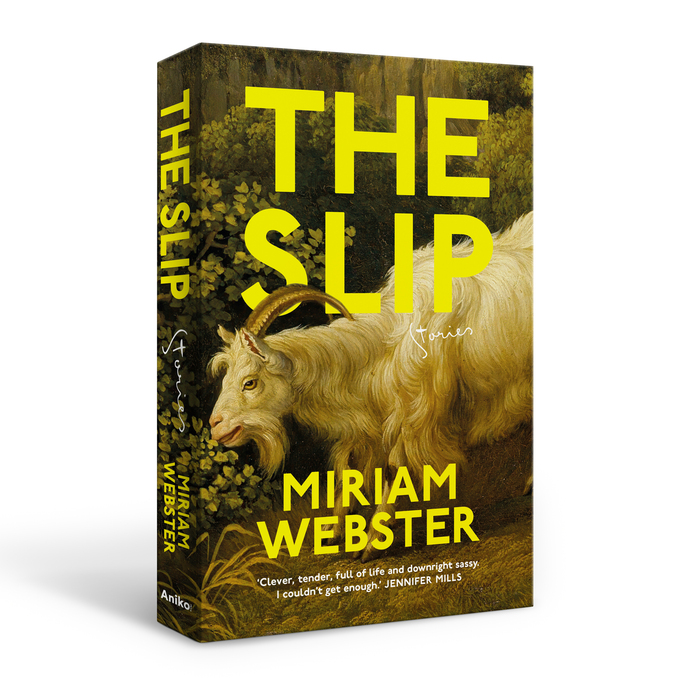 The Slip by Miriam Webster 3