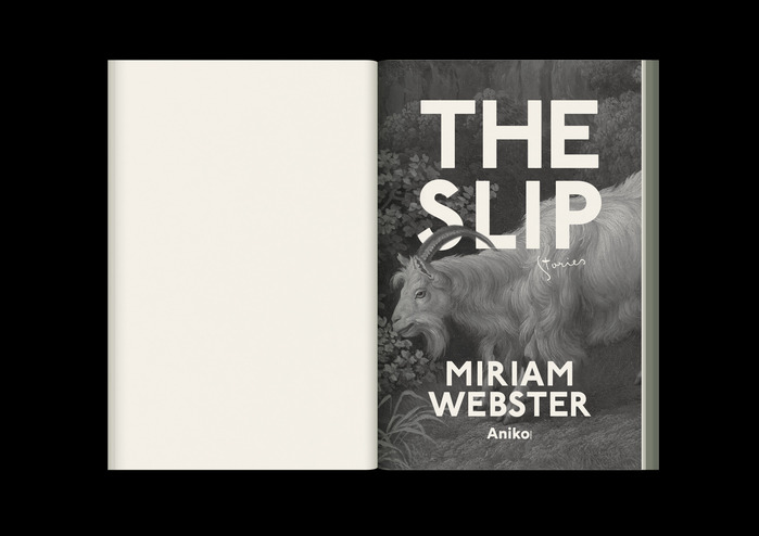 The Slip by Miriam Webster 5