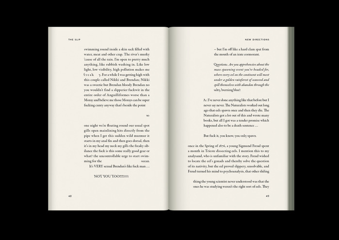 The Slip by Miriam Webster 9