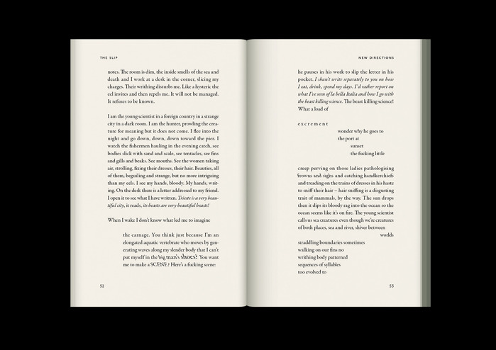 The Slip by Miriam Webster 10