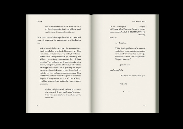The Slip by Miriam Webster 13
