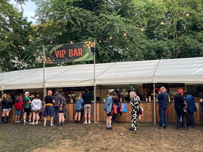 Tramlines festival 2025 4