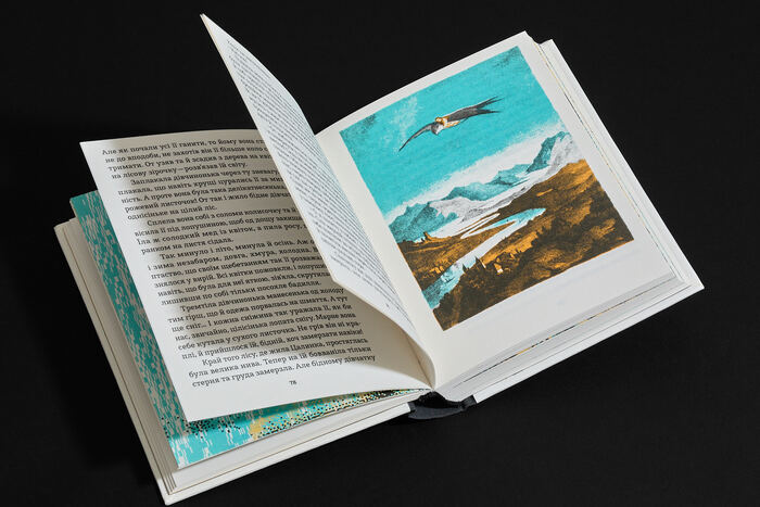 «Snoviyko» ta inshi kazky by Hans Christian Andersen 6