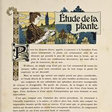 <cite>Étude de la plante</cite> by M.P.&nbsp;<span>Verneuil</span>