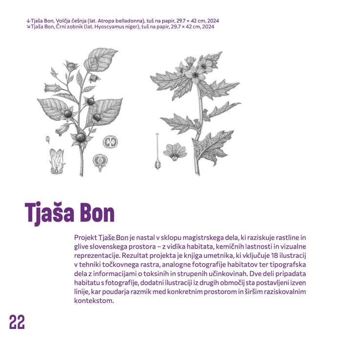 Vabljeni mladi 2025 exhibition poster, invitation, catalog 10