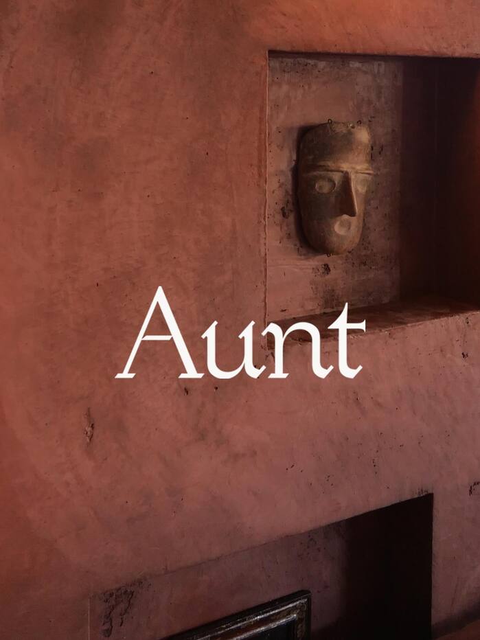 Aunt Studio 2
