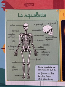 <cite>Astrapi</cite> magazine, N° 1019, Sep. 2023