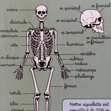 <cite>Astrapi</cite> magazine, N° 1019, Sep. 2023