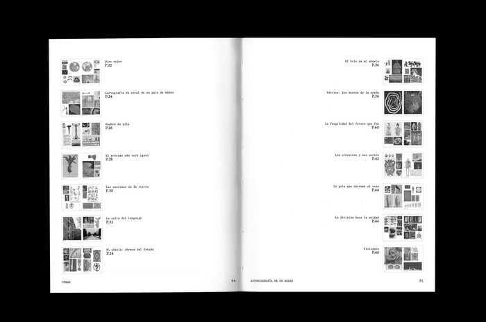 Autobiografía de un bazar 6