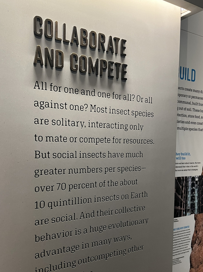 The Insectarium at the American Museum of Natural History 11