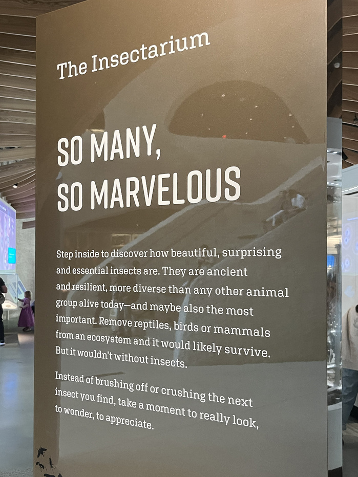 The Insectarium at the American Museum of Natural History 2