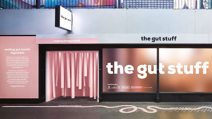 The Gut Stuff brand identity 1