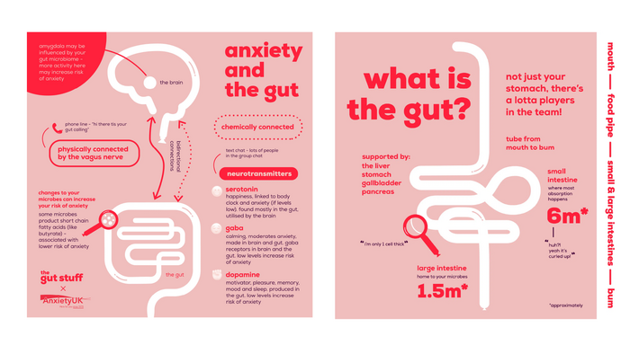 The Gut Stuff brand identity 6