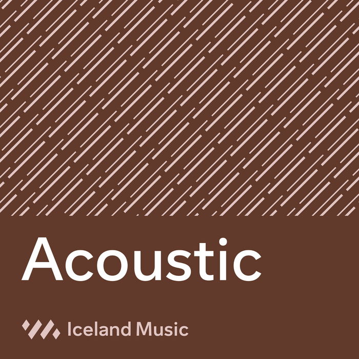 Iceland Music – Tónlistarmiðstöð 2