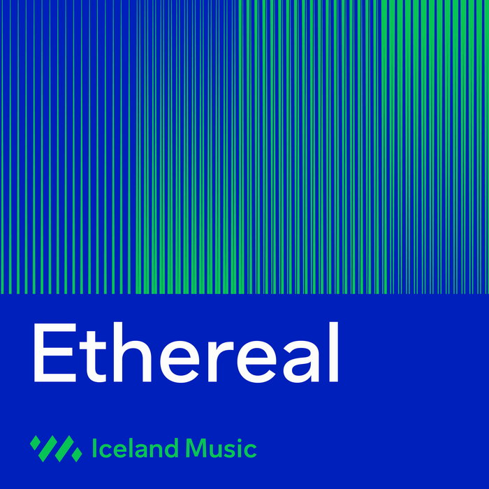 Iceland Music – Tónlistarmiðstöð 8