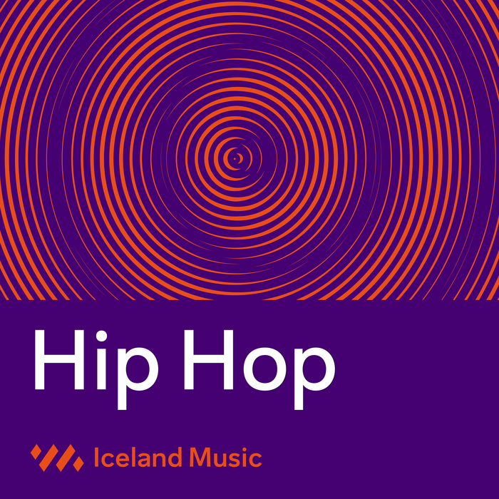 Iceland Music – Tónlistarmiðstöð 10