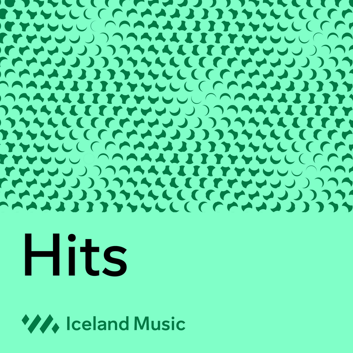 Iceland Music – Tónlistarmiðstöð 11