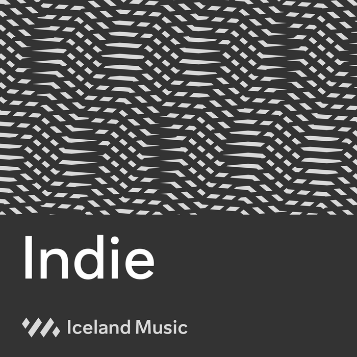 Iceland Music – Tónlistarmiðstöð 12