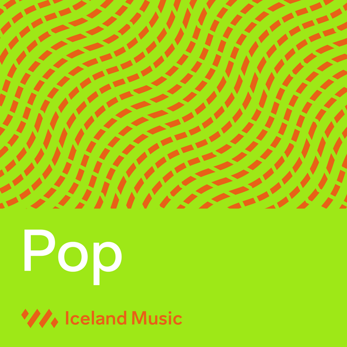 Iceland Music – Tónlistarmiðstöð 13