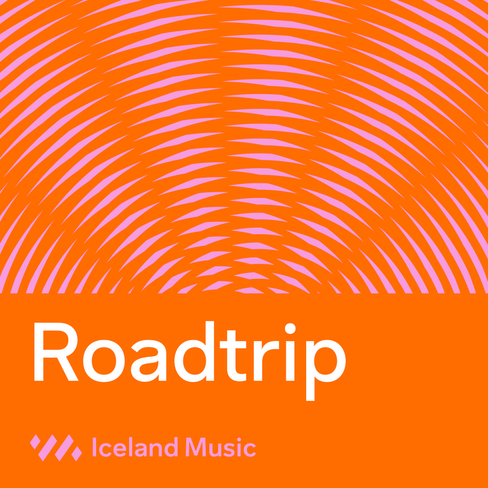 Iceland Music – Tónlistarmiðstöð 1