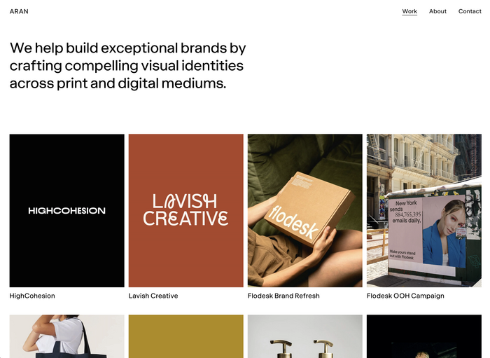 ARAN portfolio website 1