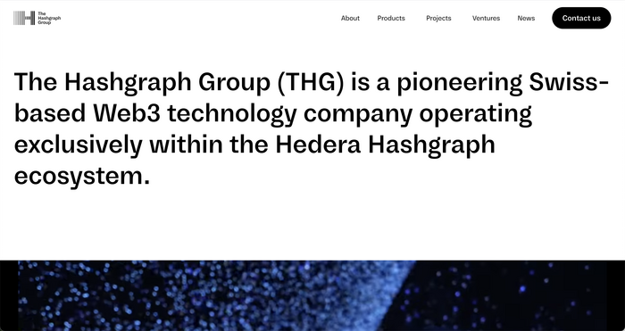 The Hashgraph Group website 6