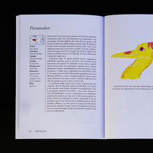 <cite>Piccola Enciclopedia dei Dinosauri</cite>