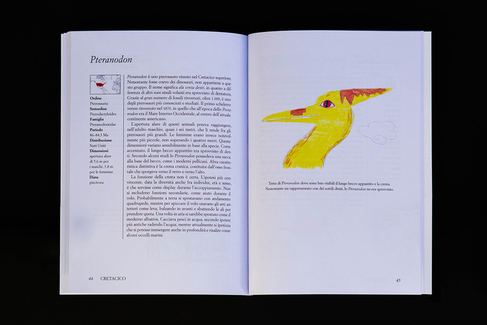 Piccola Enciclopedia dei Dinosauri 4