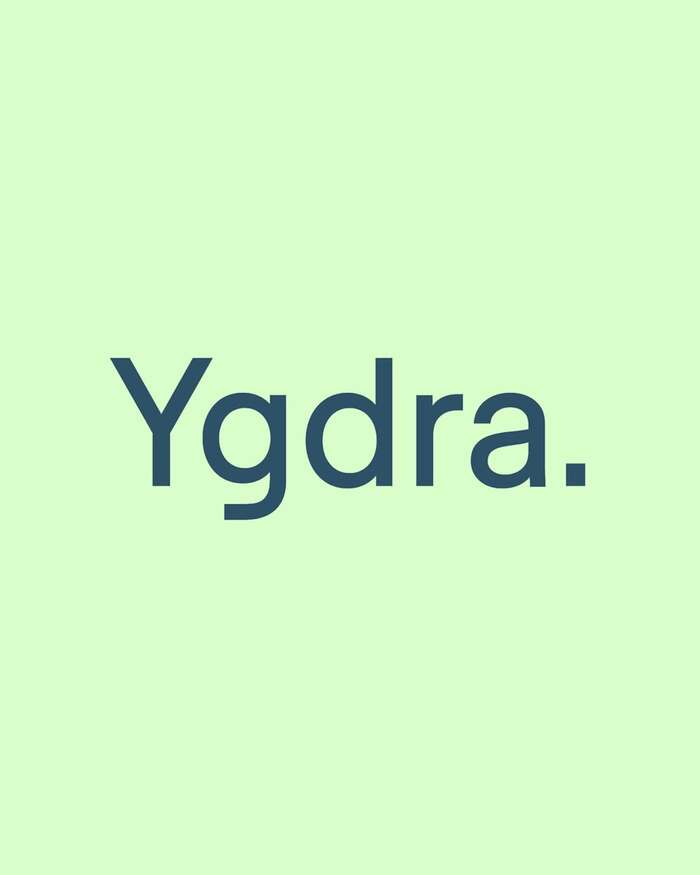 Ygdra brand identity 13