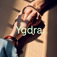 Ygdra brand identity