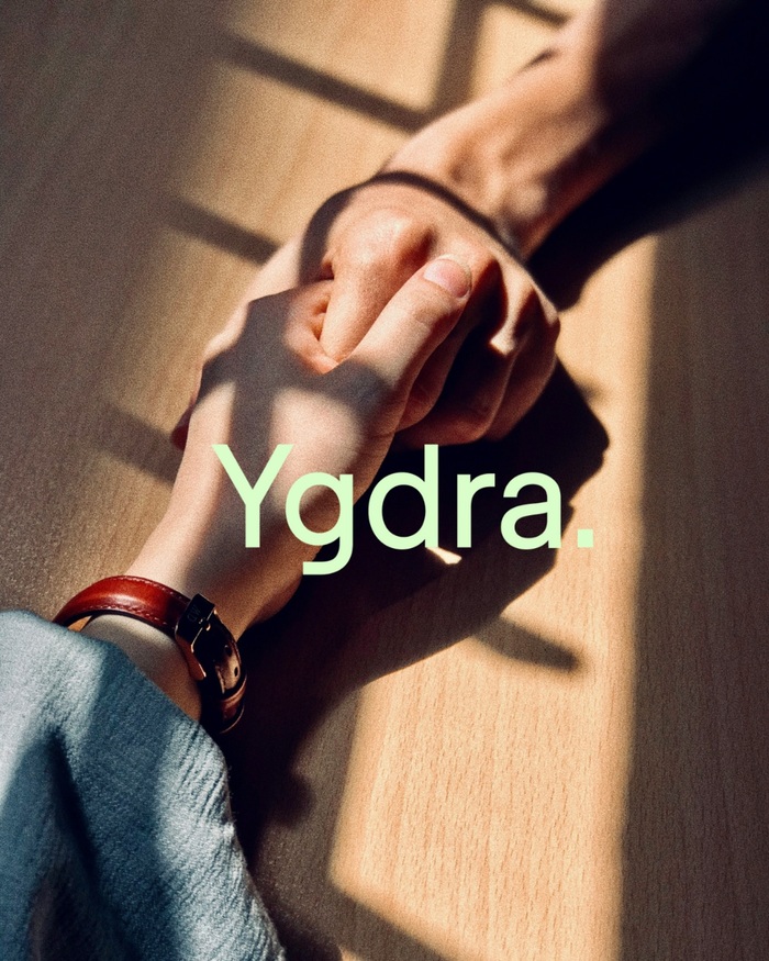 Ygdra brand identity 1