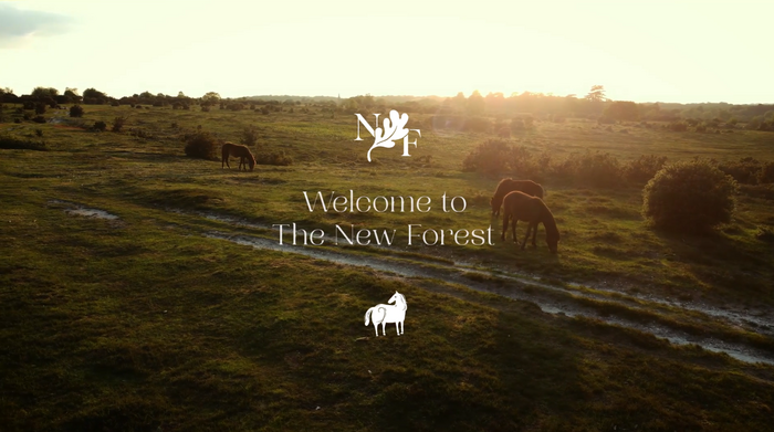 The New Forest 5