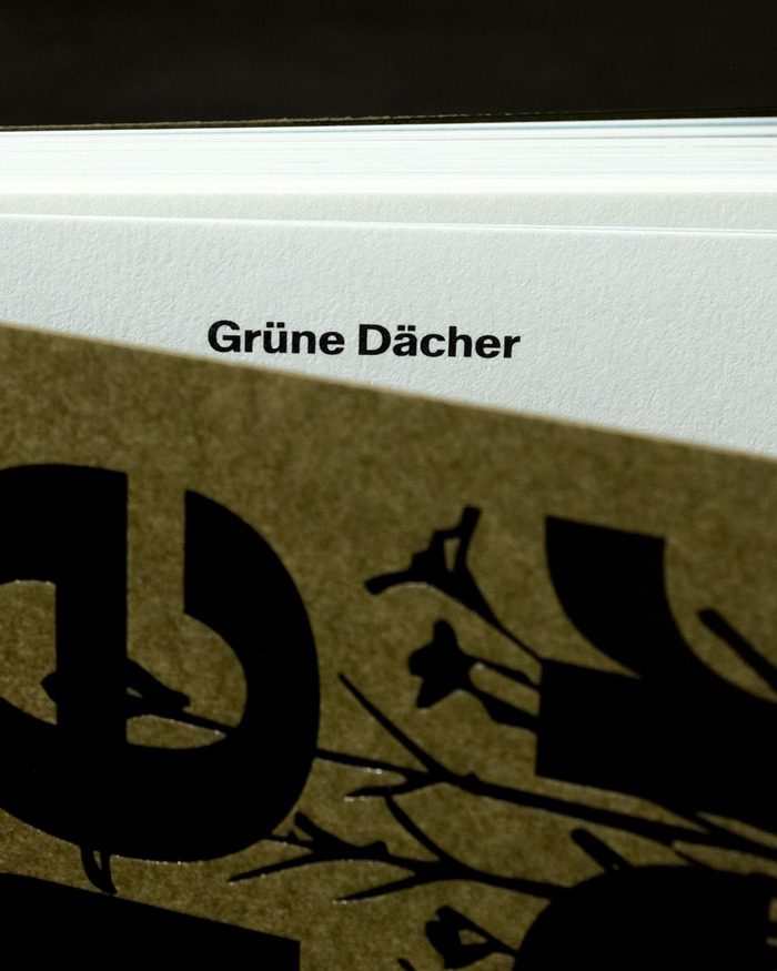 Grüne Dächer by Jonas Frei 9