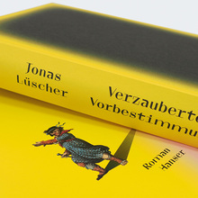 <cite>Verzauberte Vorbestimmung</cite> by Jonas Lüscher