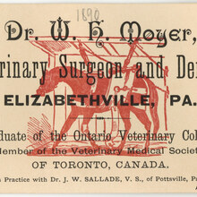 Dr. W. H. Moyer, Veterinary Surgeon and Dentist business card