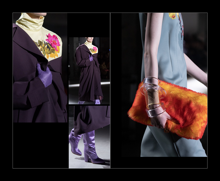 The Story of One Collection 8