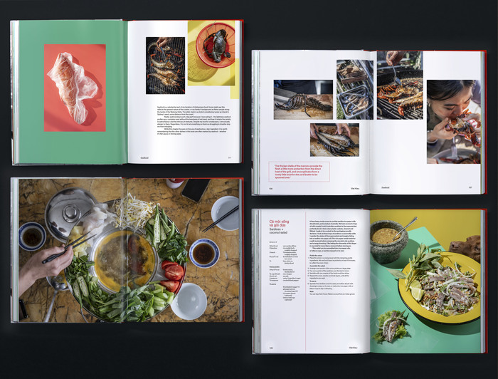 Viet Kieu by Thi Bich Phuong Le 6