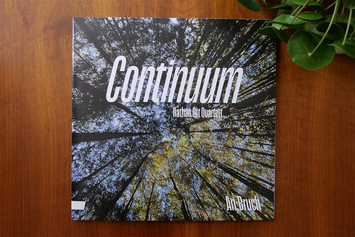 Continuum vinyl sleeve