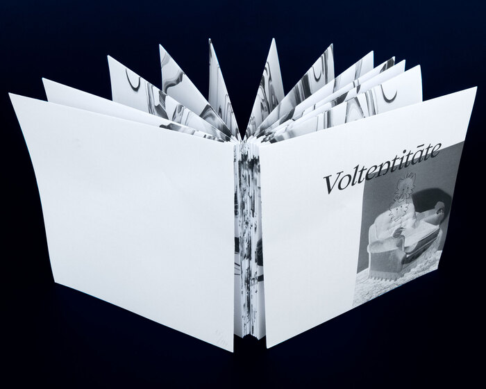 Agate Tūna – Voltentitāte exhibition brochure 2
