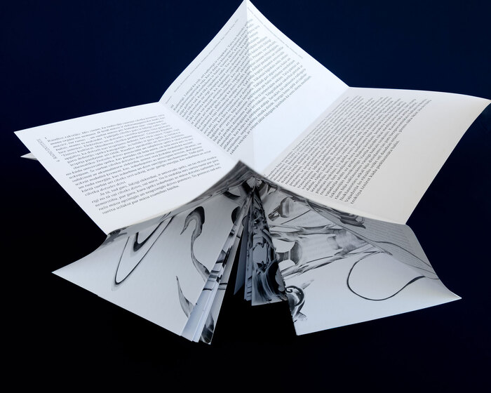 Agate Tūna – Voltentitāte exhibition brochure 3