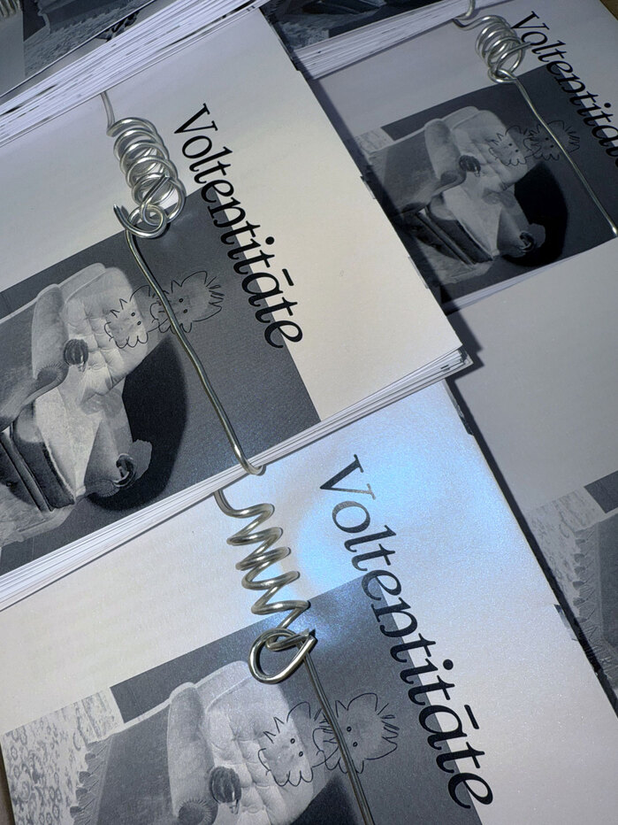 Agate Tūna – Voltentitāte exhibition brochure 6