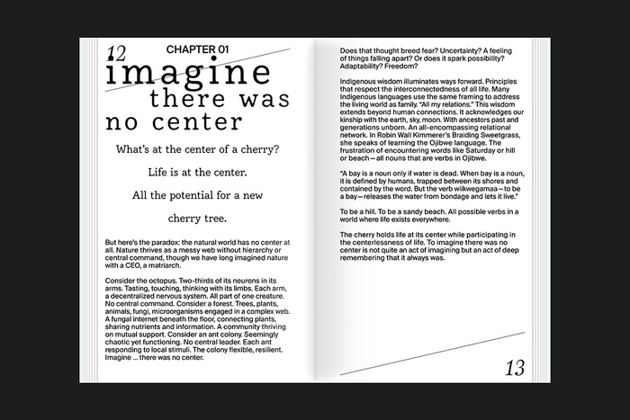 Imagine—Embracing Chaos and Possibility in a Planetary Emergency 1