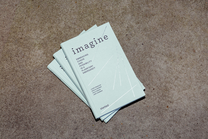 Imagine—Embracing Chaos and Possibility in a Planetary Emergency 2