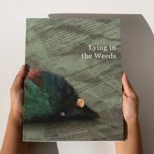 <cite>Lying in the Weeds</cite>