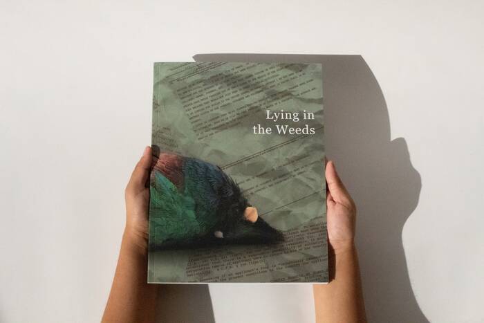 Lying in the Weeds 1