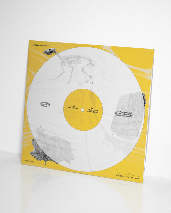 Marzia Migliora – Partitura multispecie andante album art 1