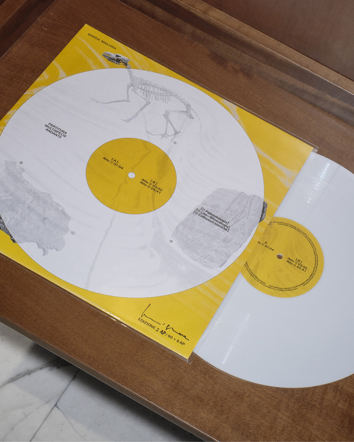 Marzia Migliora – Partitura multispecie andante album art 2