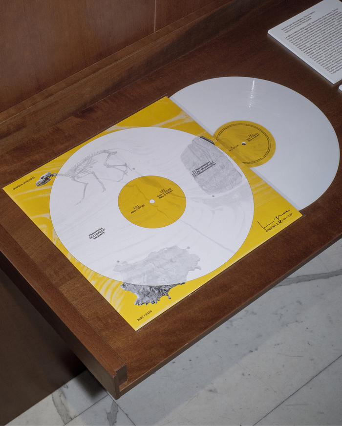 Marzia Migliora – Partitura multispecie andante album art 4
