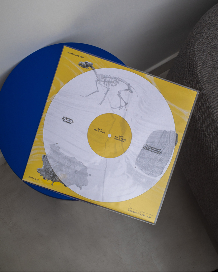 Marzia Migliora – Partitura multispecie andante album art 6